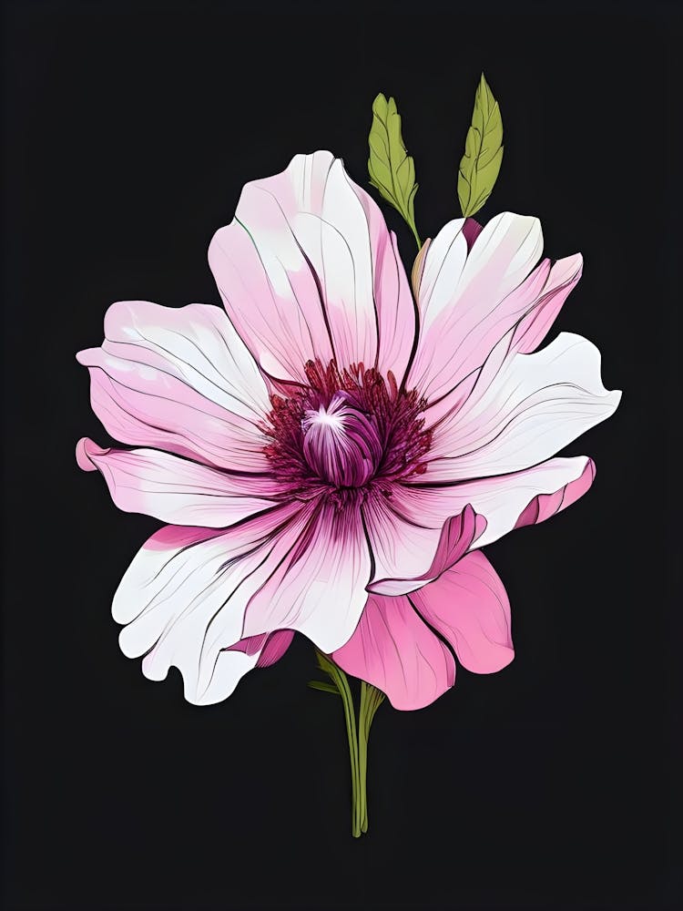 Rosa Pfingstrosenblume 1