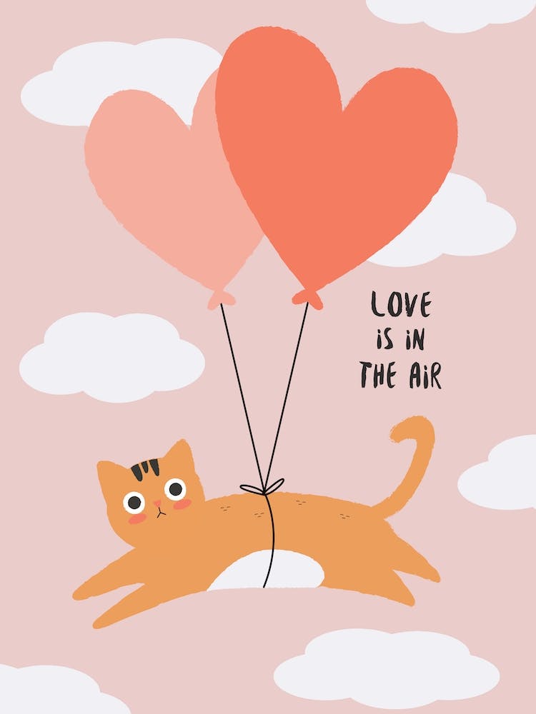Love is in the Air Cat