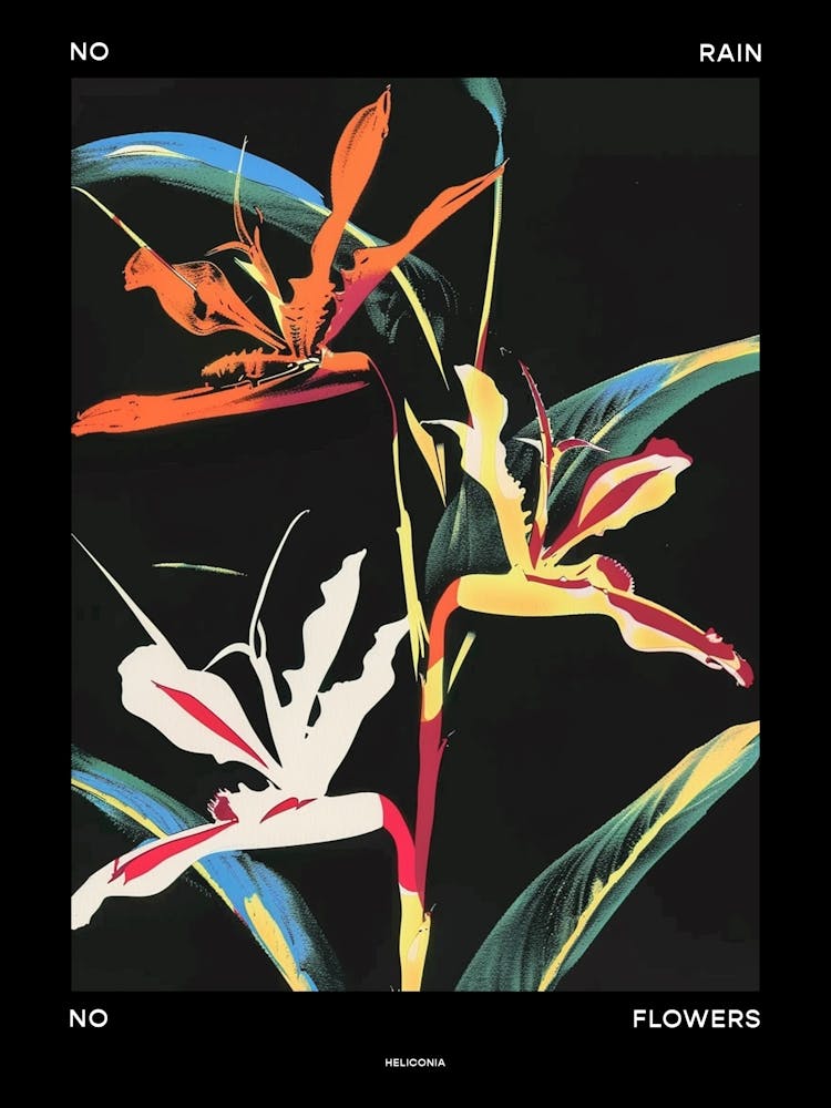 Kein Regen Keine Blumen Plakat Heliconia 2