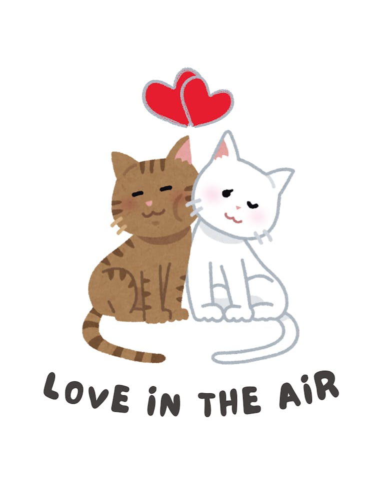Love In The Air