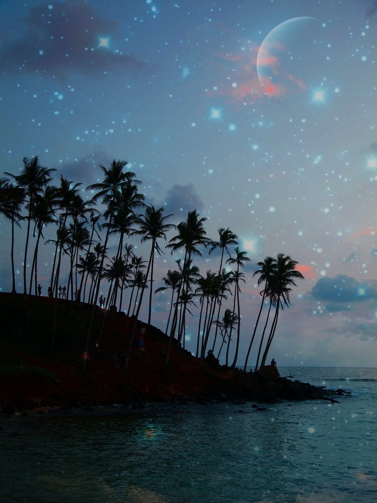Palm Galaxy