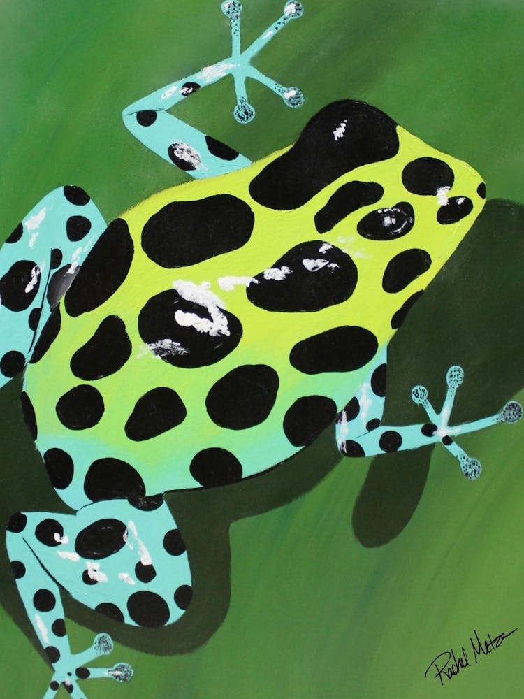 Poison Dart Frog