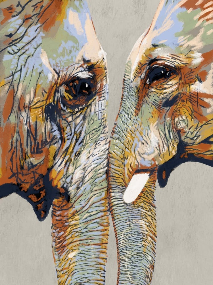 Familial Love Of Elephants