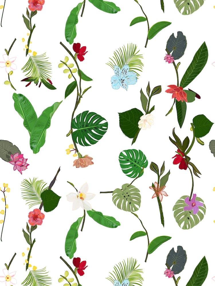 Botanical Tropic Flowers