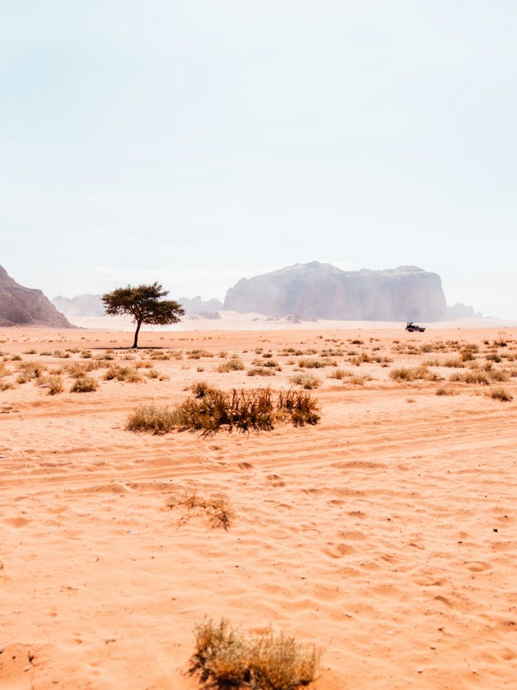 Wadi Rum desert | Jordan travel photography poster