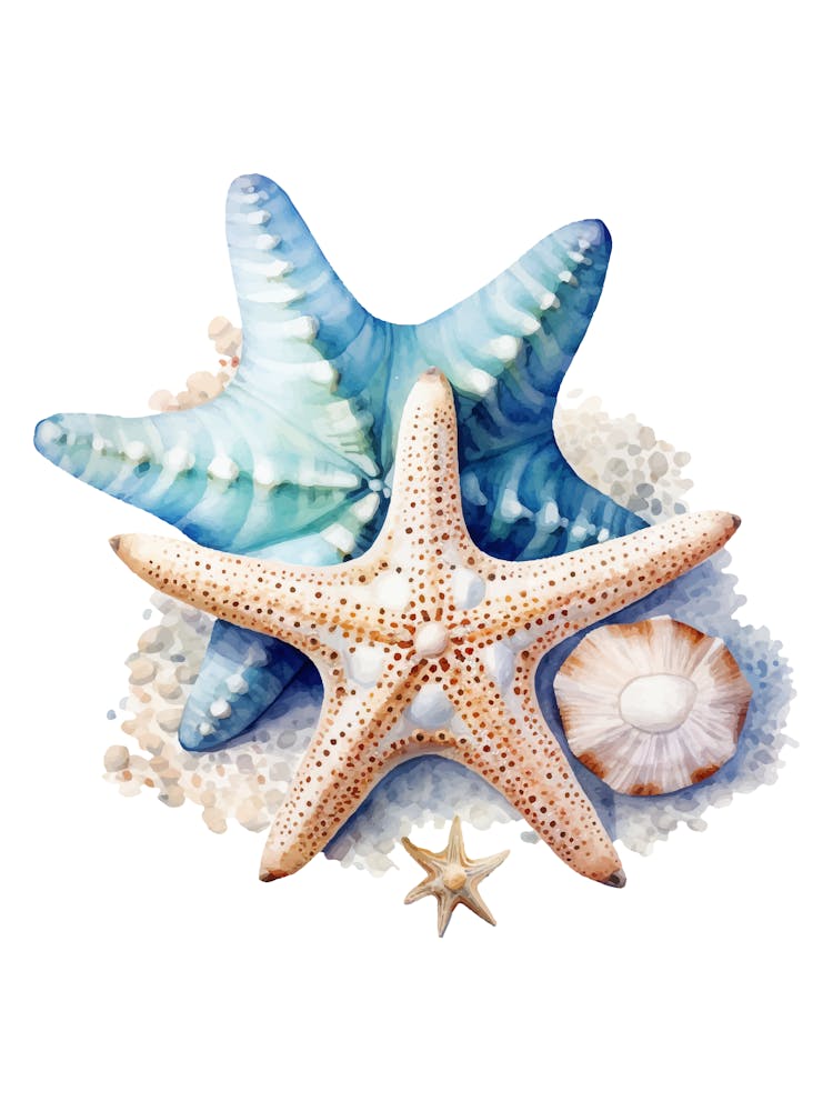 Starfish