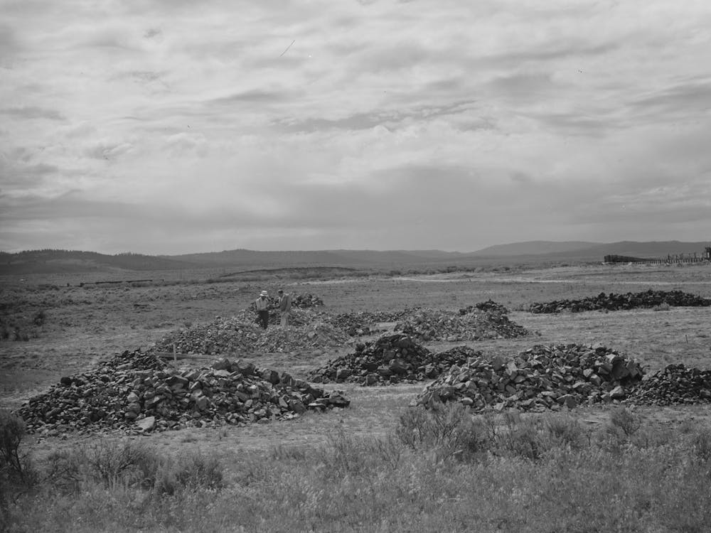 Seneca, Oregon, Piles Of Chrome Ore On The Lot Of The Ore Purchasing Depot Of The Metal Reserves Company By Russel