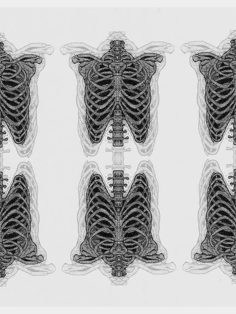 Rib Cage