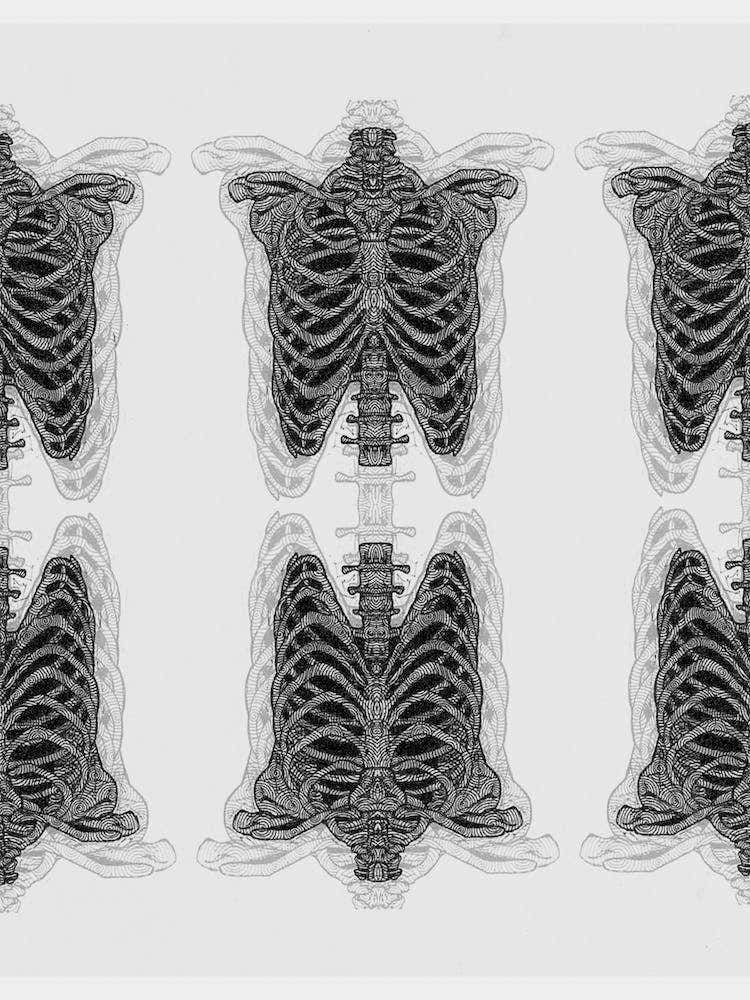 Rib Cage
