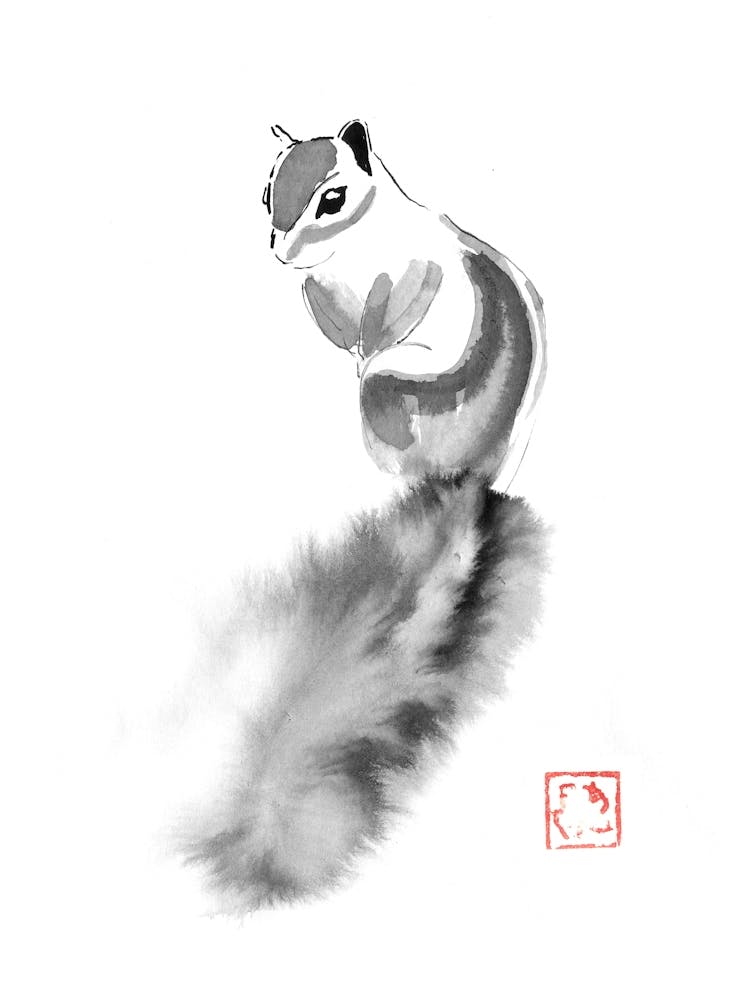 squirel