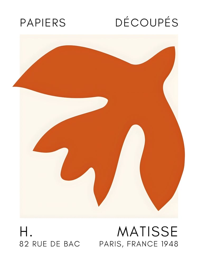 Matisse'S Flower