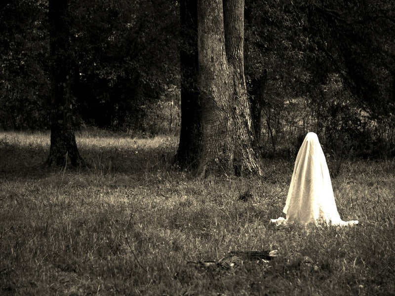 Fantôme Dans Les Bois