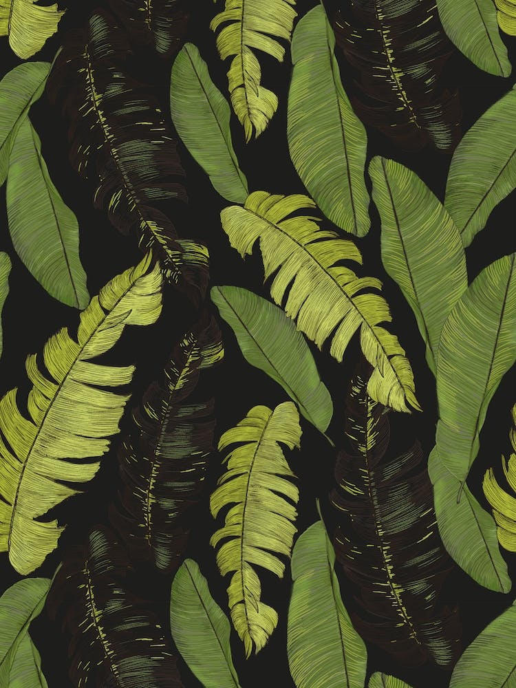 Tropical Leaves Black
