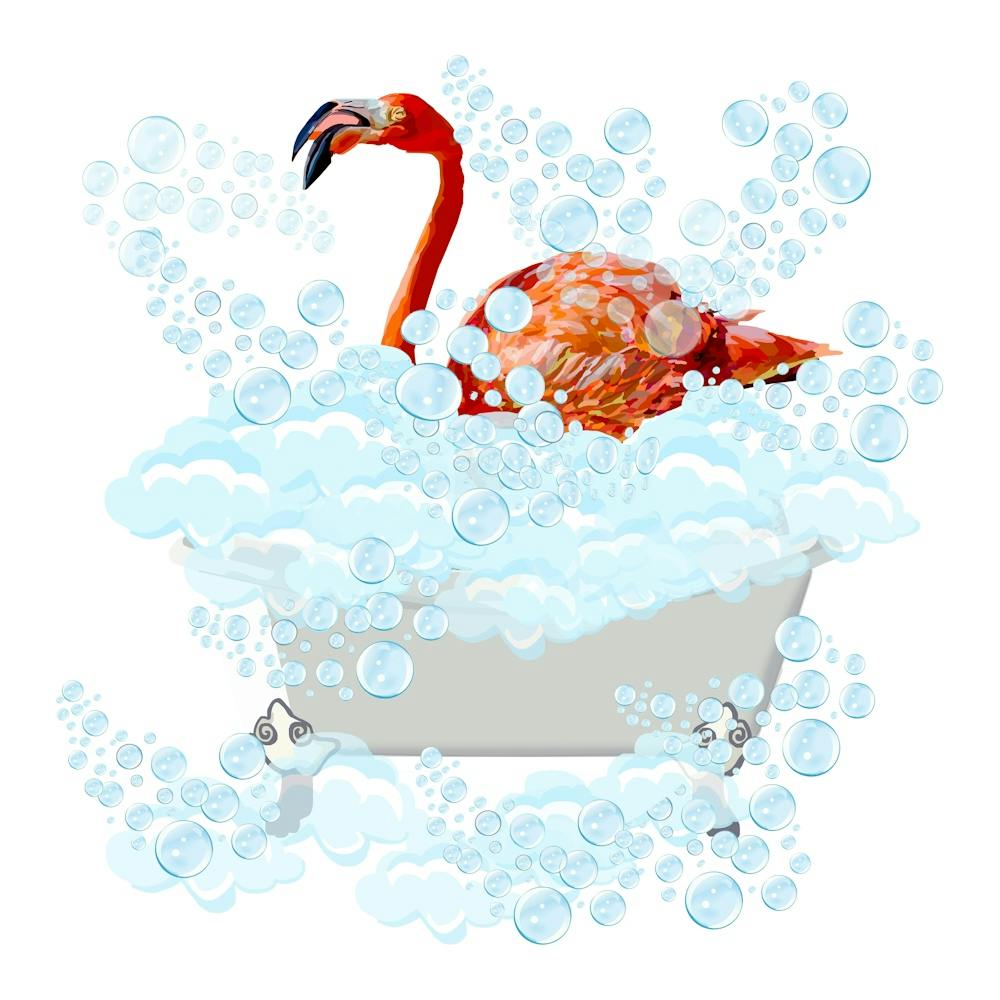 Flamingo in the Tub