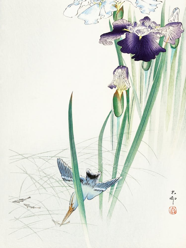 Kingfisher And Irises (1900 1930), Ohara Koson