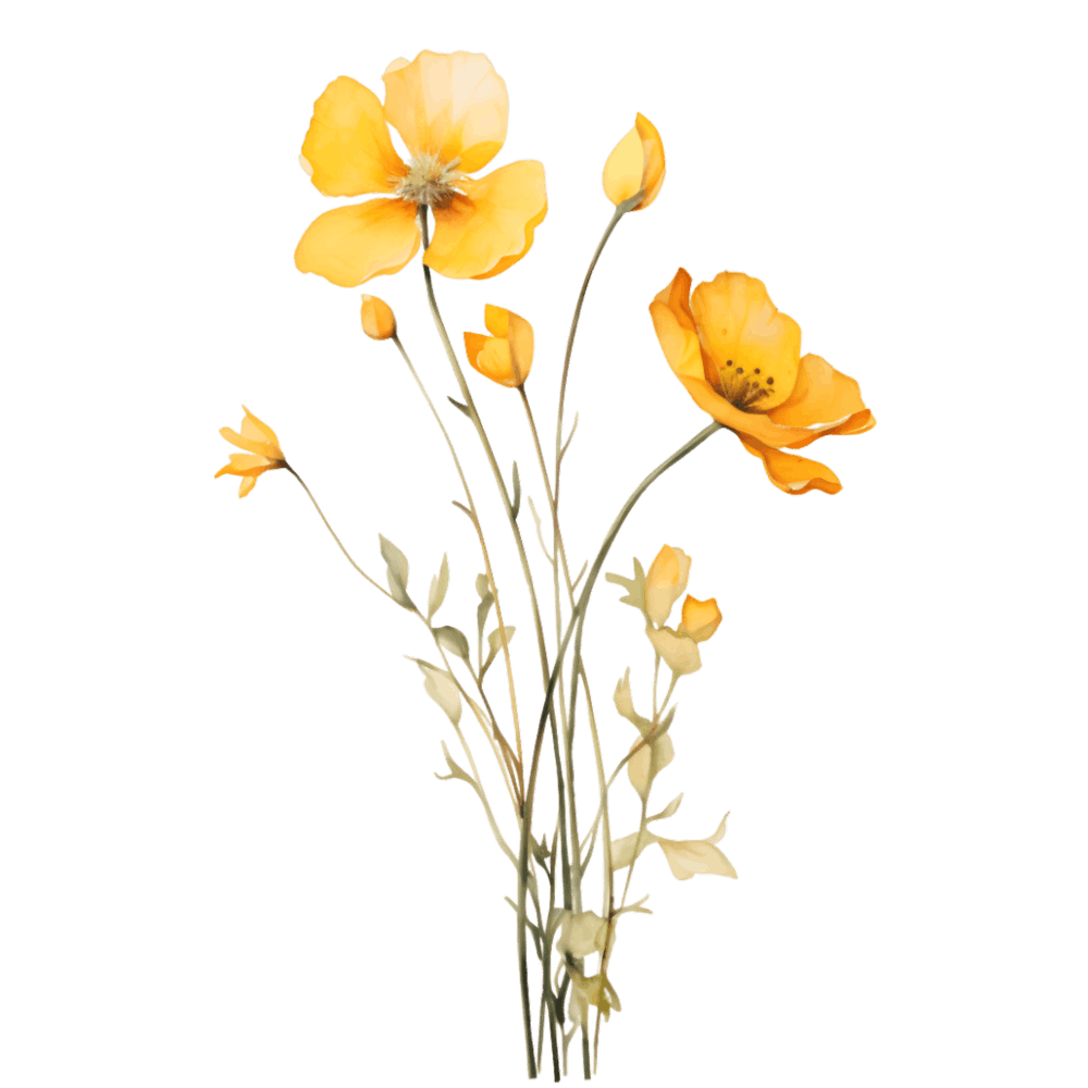 Yellow Poppies 1