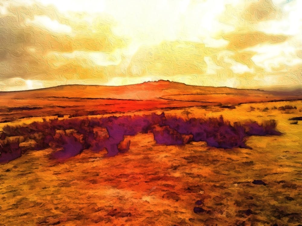Dartmoor 3