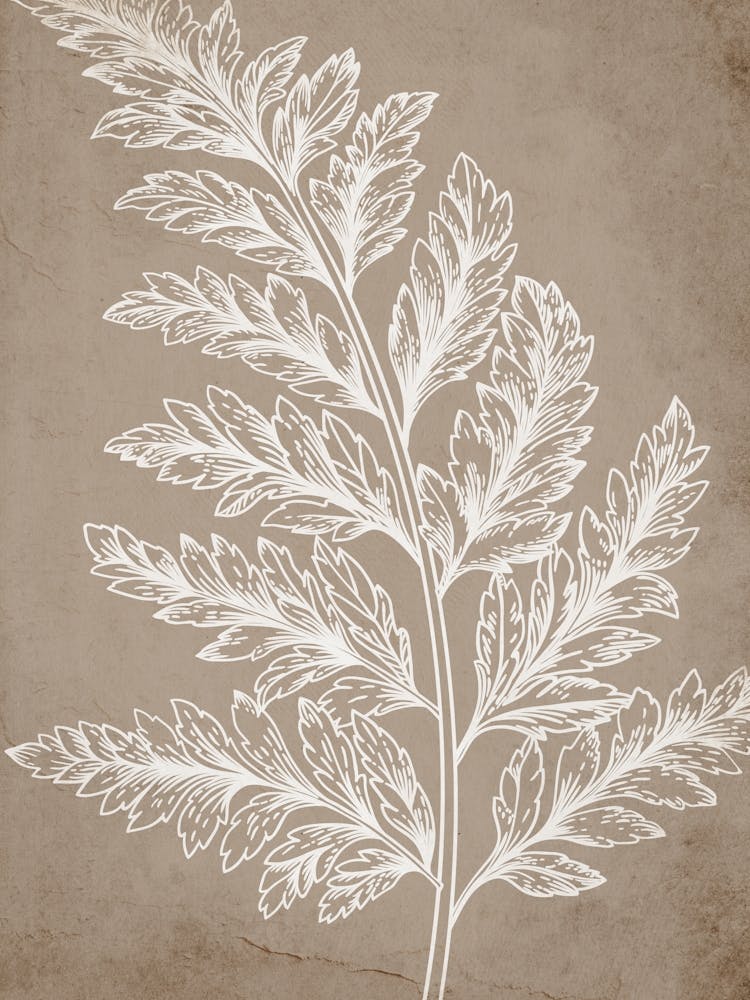 Fern Leaf Botanical 1