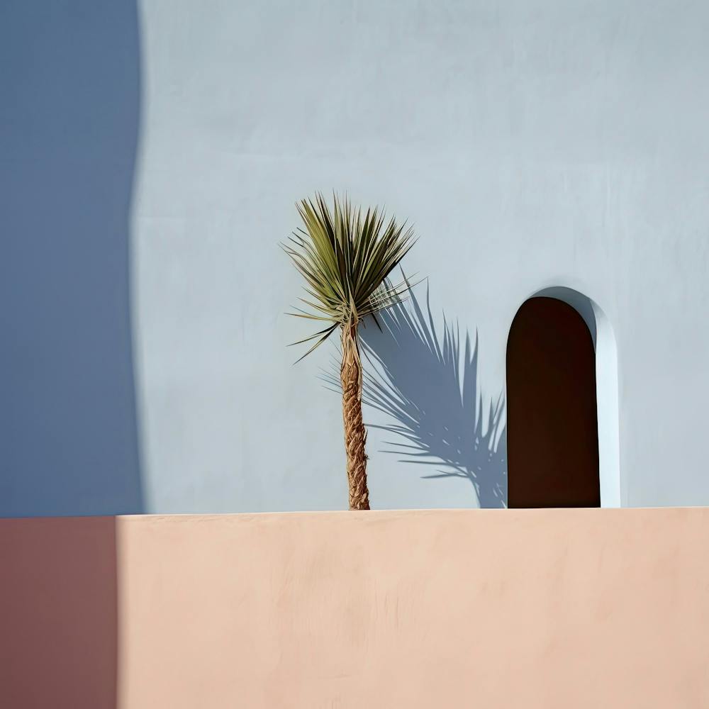 Palm Against Pastel Blue Wall Summer Photography