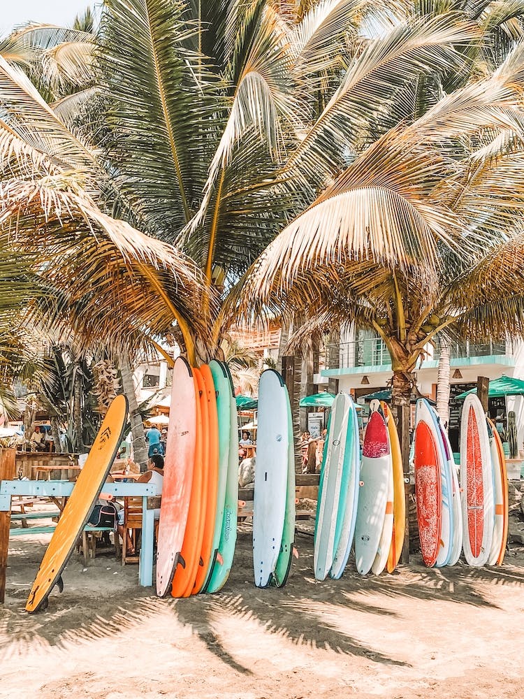 Tropical Surfboards