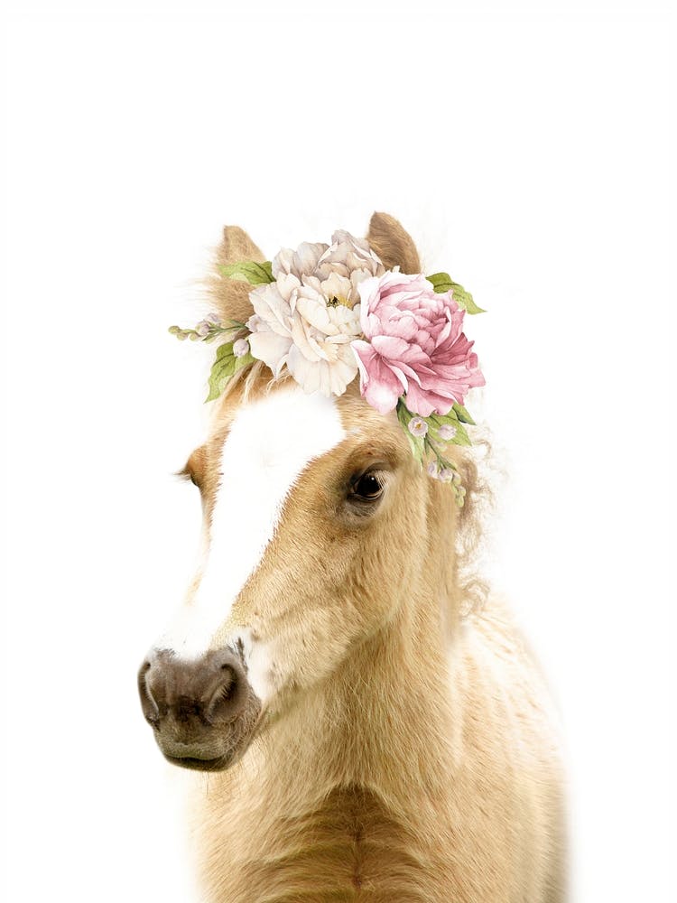 Peekaboo Floral Foal