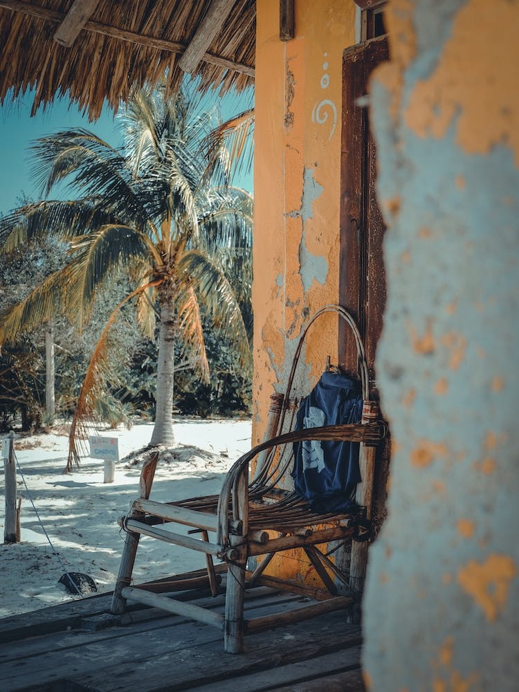 Palms And Chair On Isla Holbox Mexico