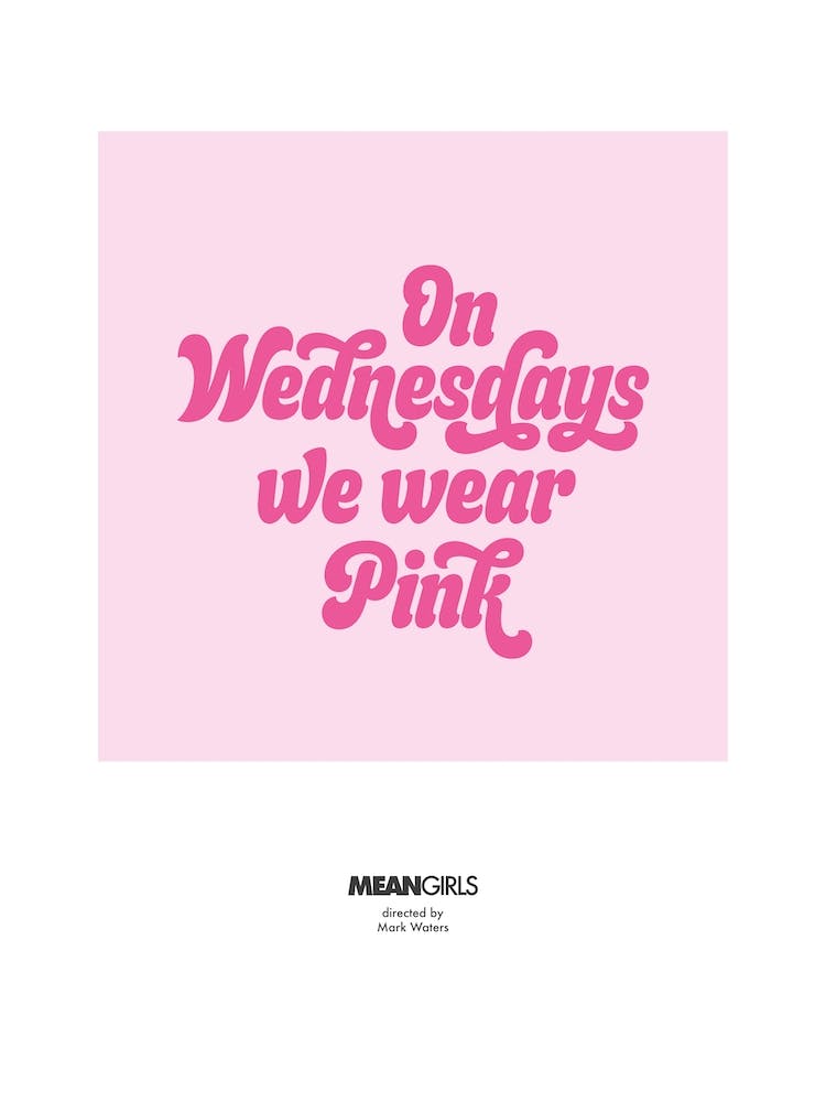 The Plastics On Wednesdays We Wear Pink