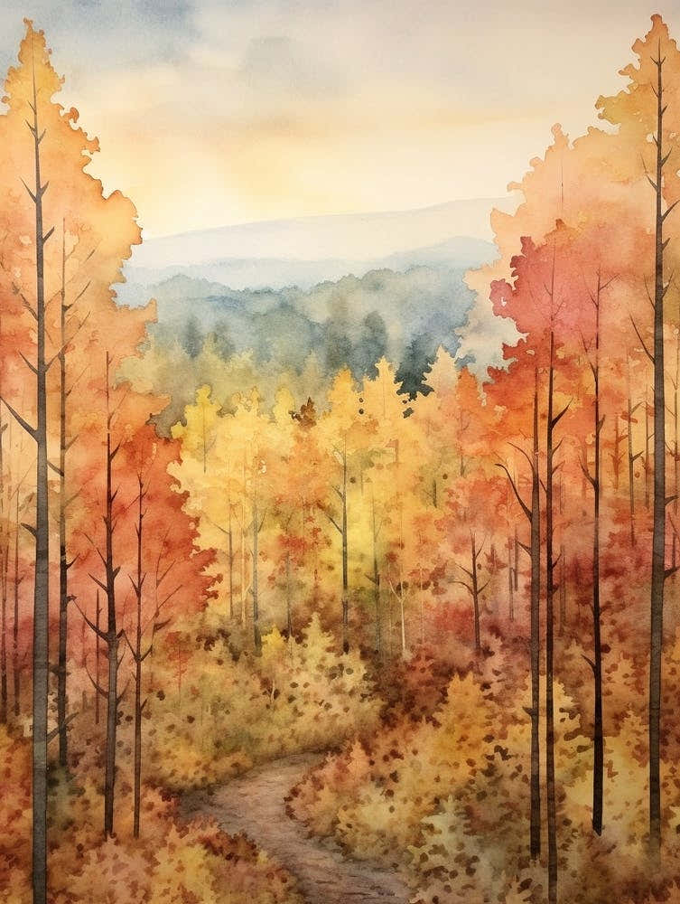 Autumn Forest Landscape Talladega National Forest