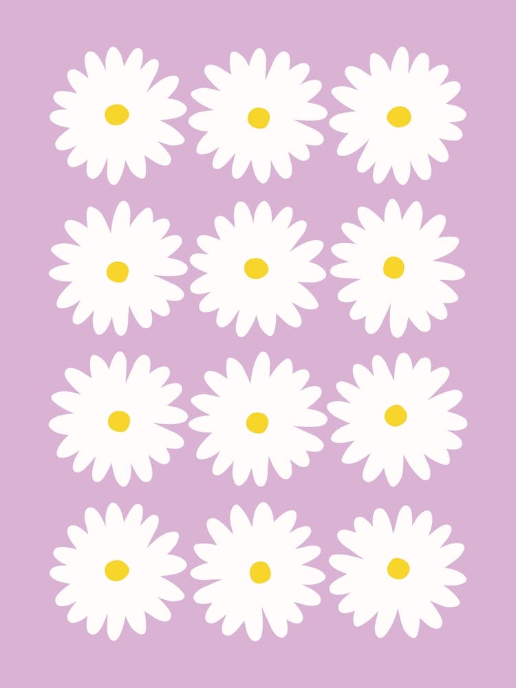 Daisy Purple