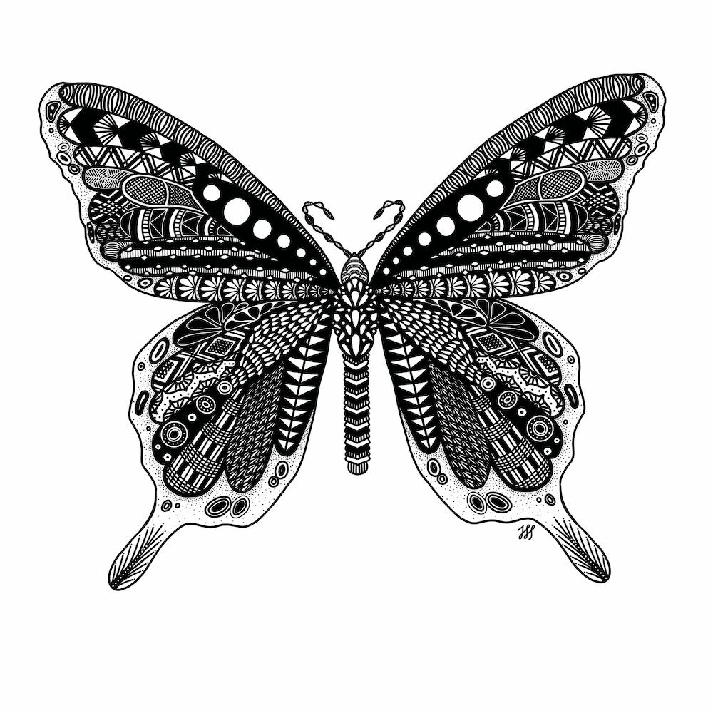 Butterfly