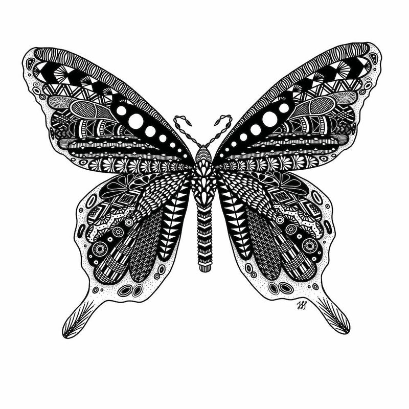 Butterfly