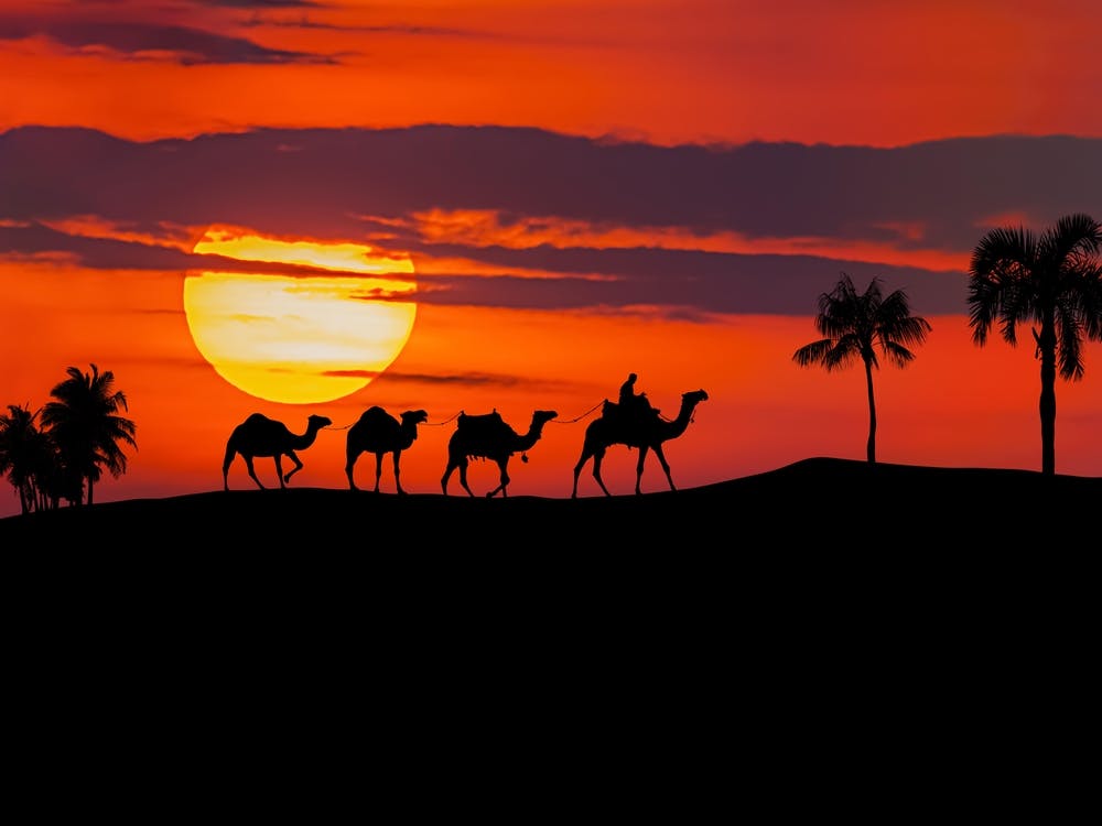 Egyptian Sunset