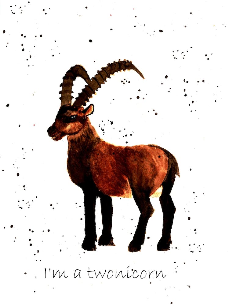 Twonicorn