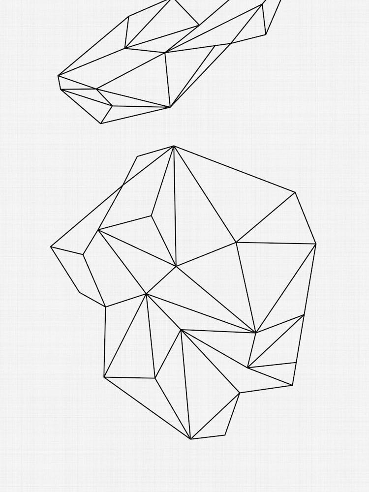 Shape