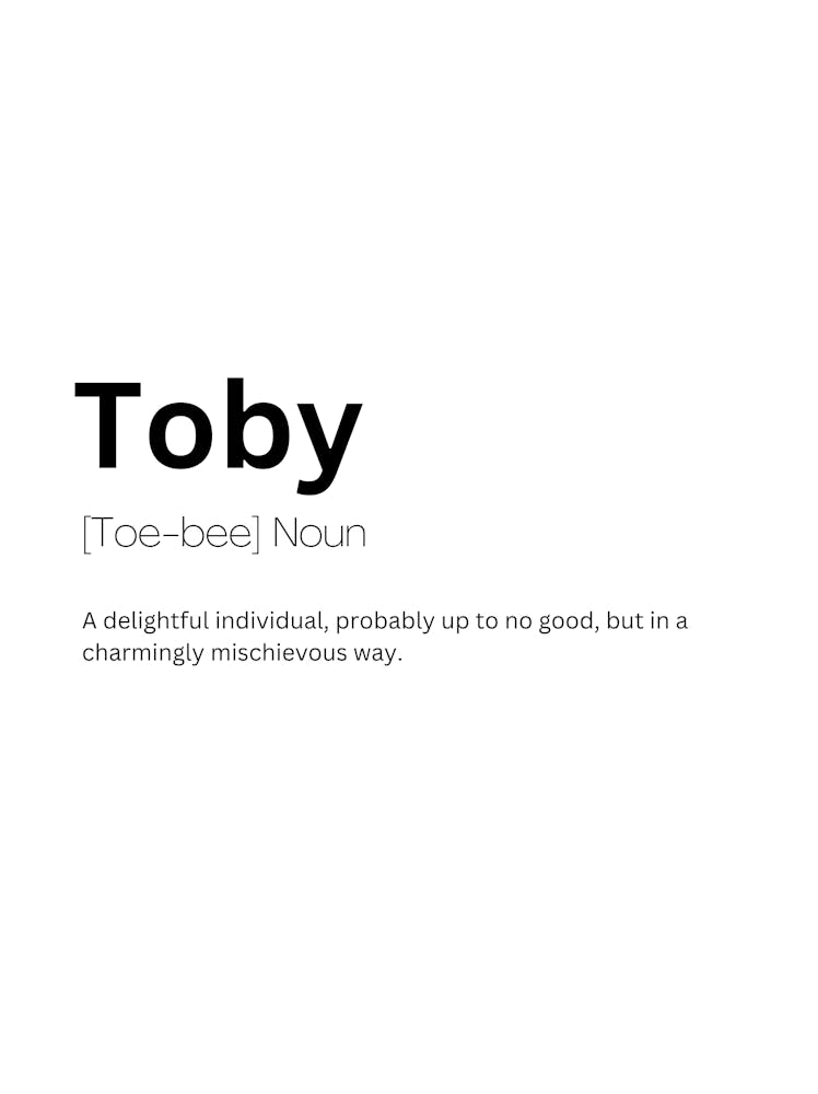 Toby Definition Meaning
