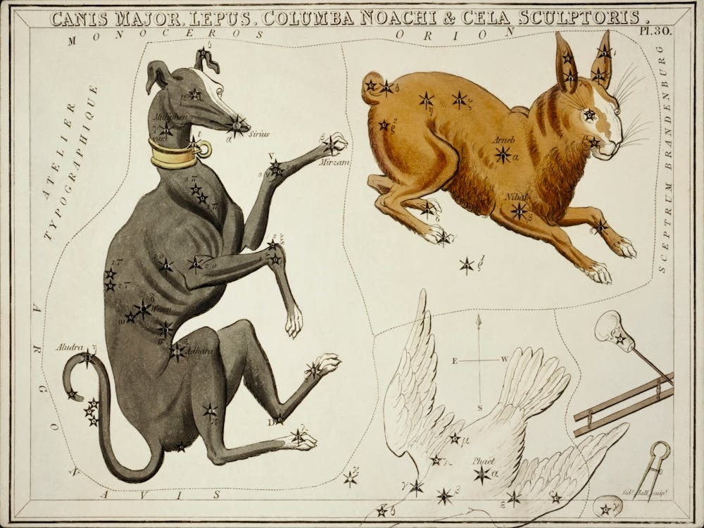 Sidney Hall’s (1831), Astronomical Chart Illustration Of The Canis Major, Lepus, Columba Noachi And The Cela Sculptoris