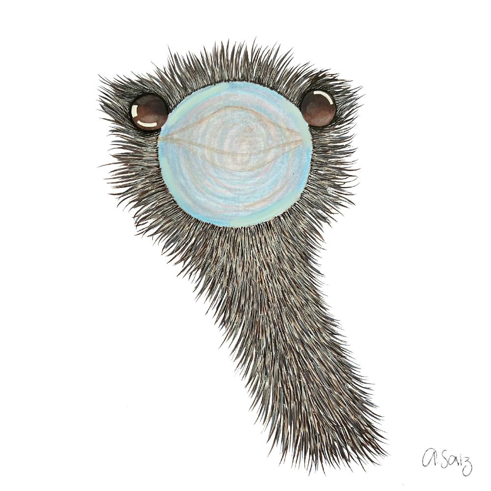 Ostrich