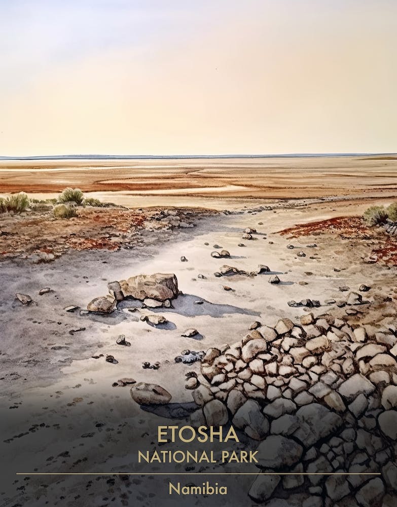 Parc national d'Etosha Namibie aquarelle 4