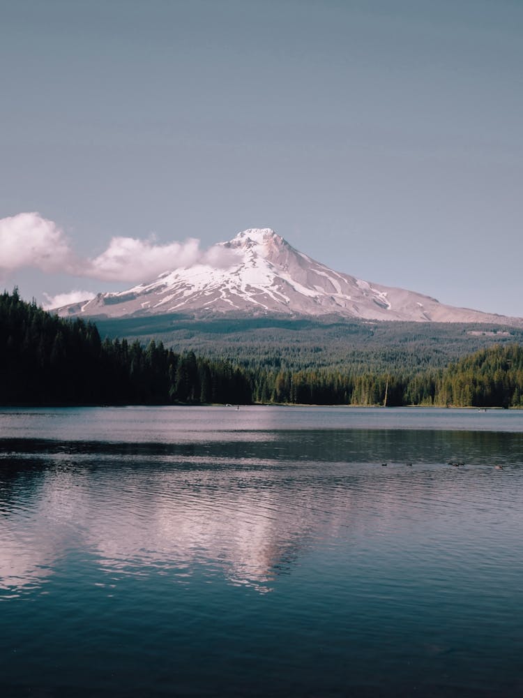 Lac de Montagne Pastel