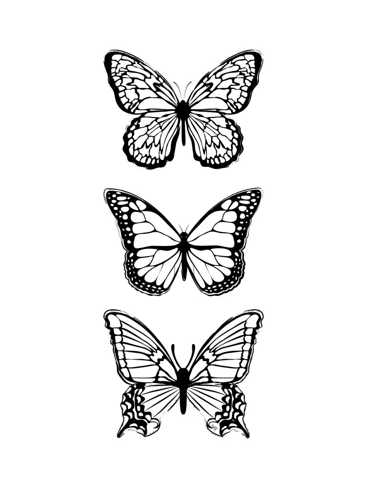 Black Butterflies