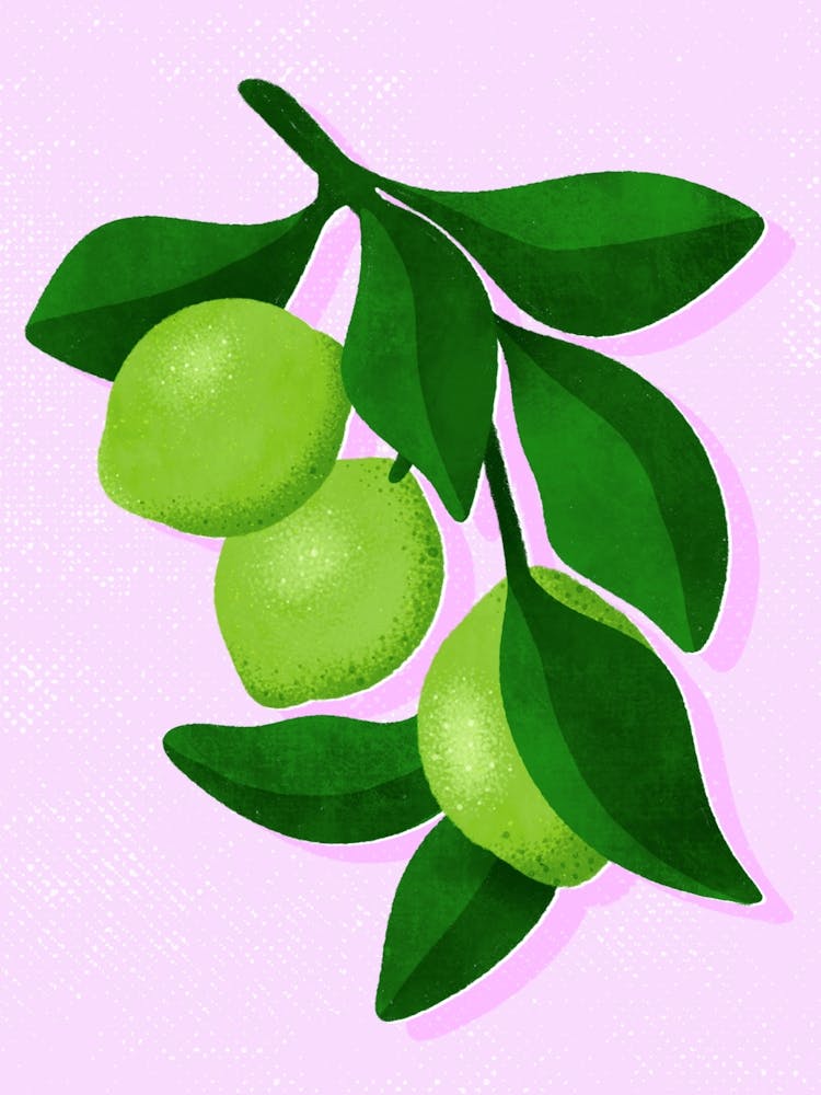 Limes