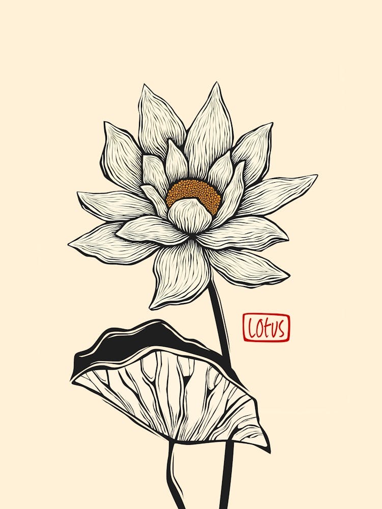 Lotus Flower