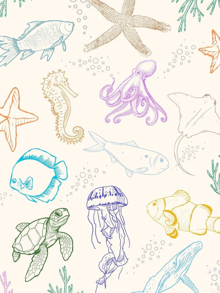 Sea Animals Line Drawing Poster