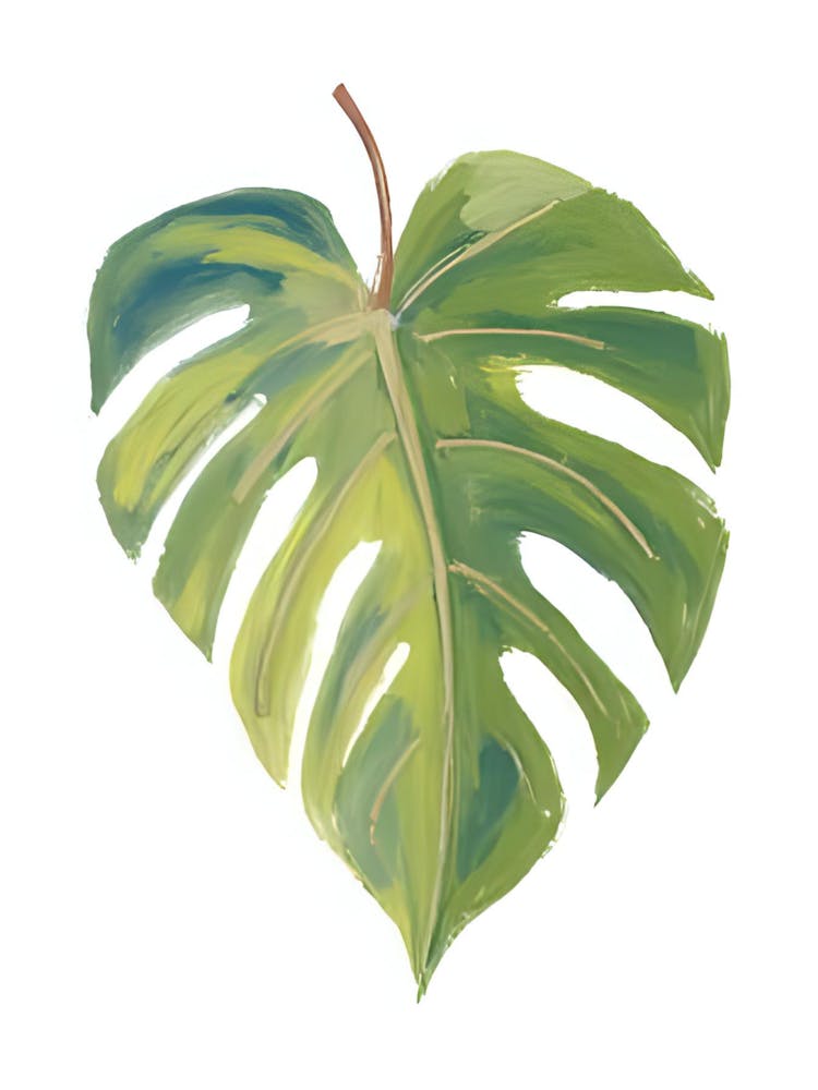 Monstera Leaf 4