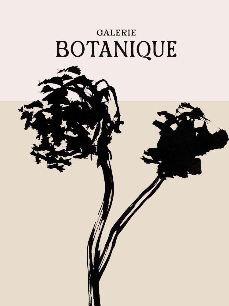 Galerie botanique no 9