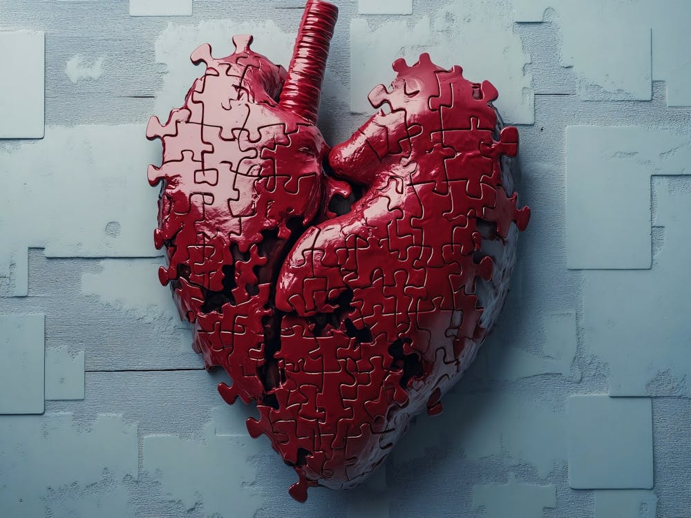 Heart Human in Pieces Love