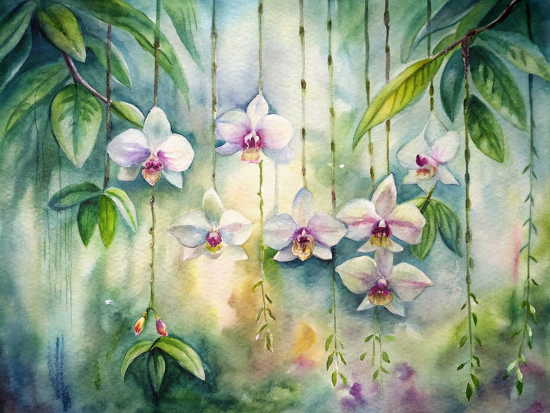 2 Orchids Hanging Gracefully In The Rainforest (1)
