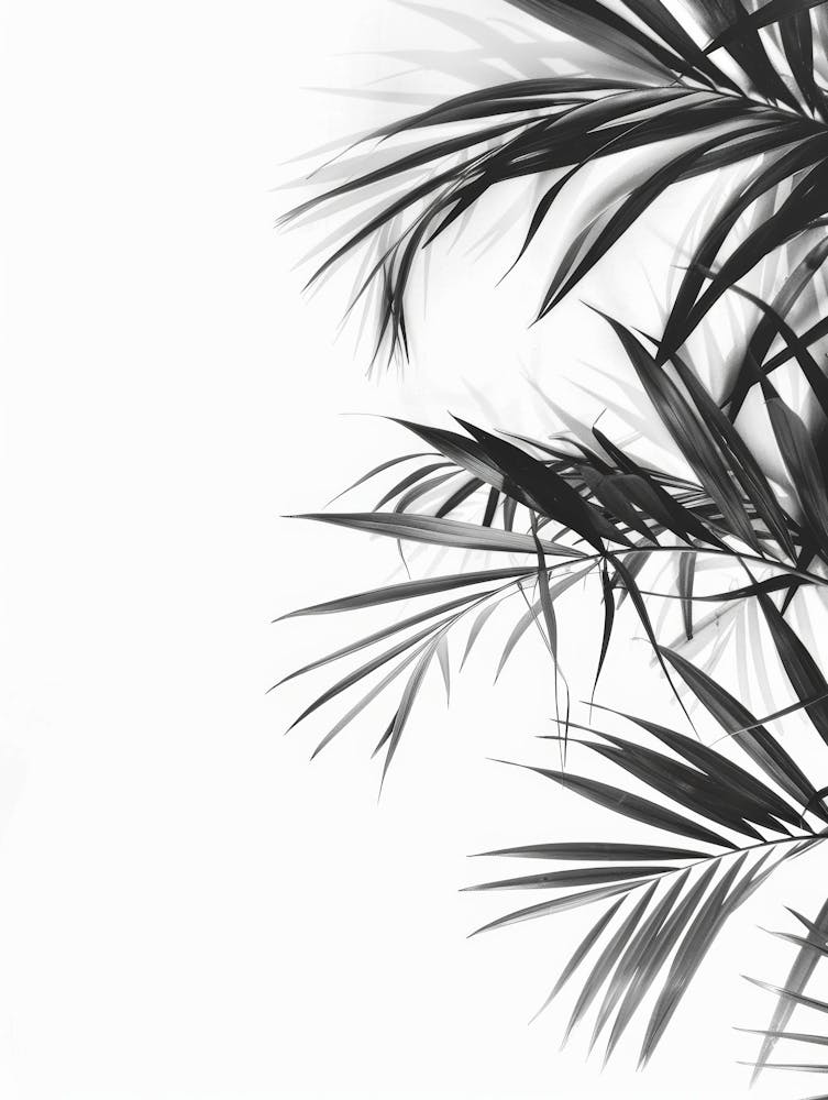 Black And White Palm Leaves 2