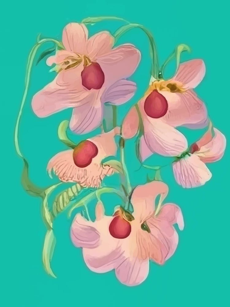 Colorful floral Pink Orchids
