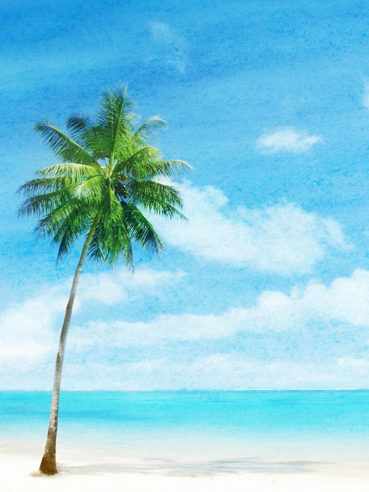 Palm Tree On The Beach